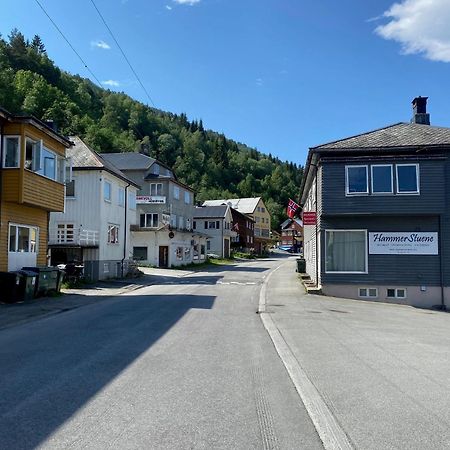 Hammerstuene Mat - Og Gjestehus Surnadal Exterior photo